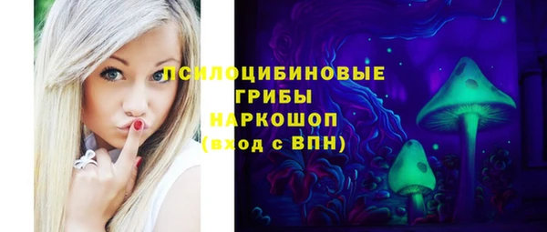 PSILOCYBIN Каменск-Шахтинский