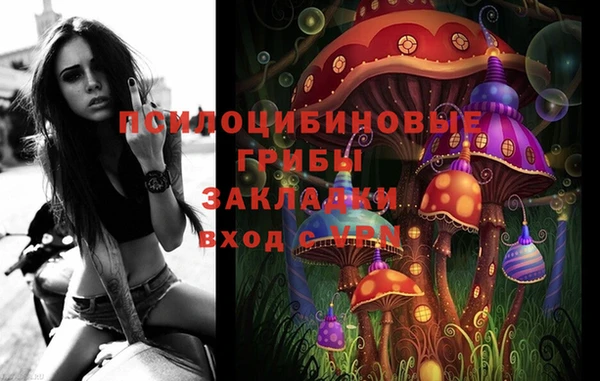 apvp Каменногорск