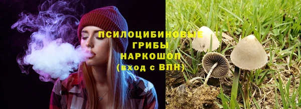 меф Инсар