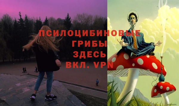 apvp Каменногорск