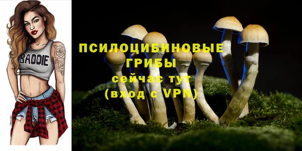 таблы Инта