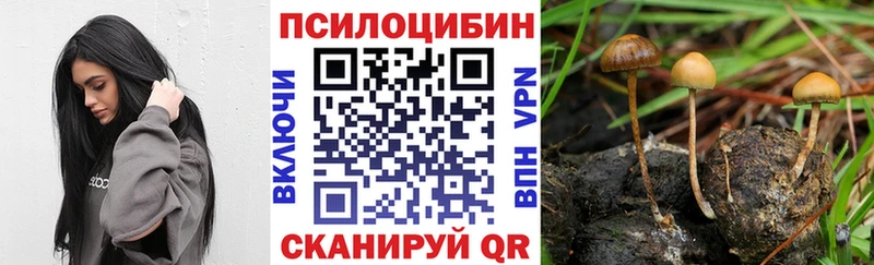 Купить закладки  Городец  Псилоцибиновые грибы Psilocybine cubensis 
